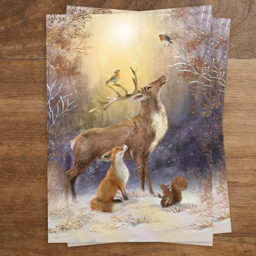 Kaart Winter Wonders