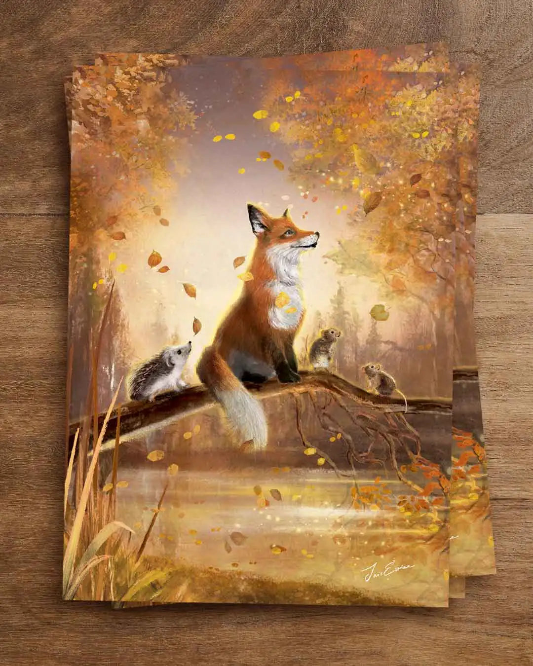 Kaart Wonder Fall