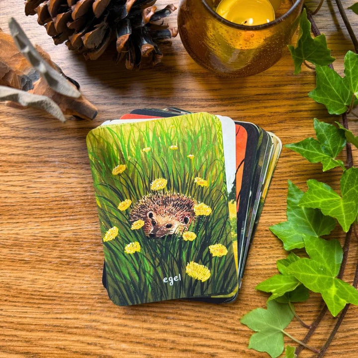 Inspiratiekaarten - Berichten uit het bos