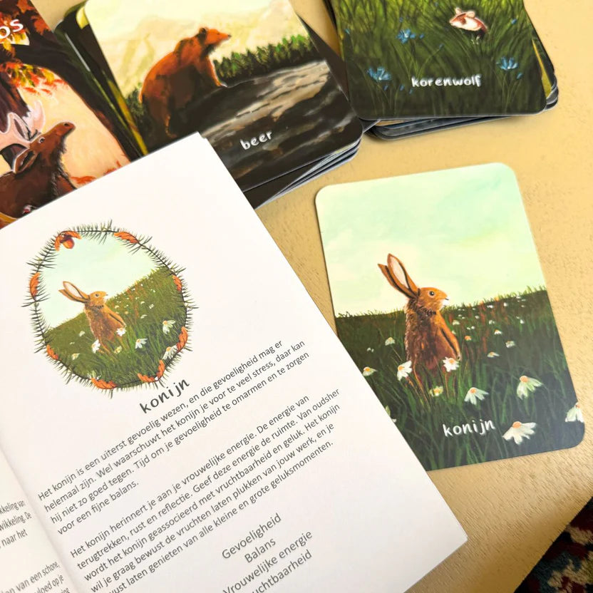 Inspiratiekaarten - Berichten uit het bos