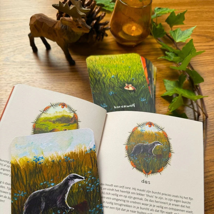 Inspiratiekaarten - Berichten uit het bos