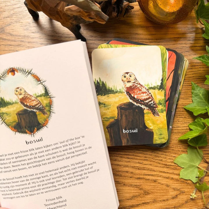 Inspiratiekaarten - Berichten uit het bos