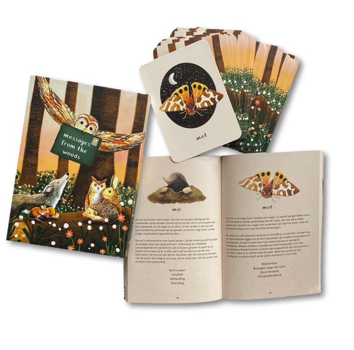 Inspiratiekaarten - Berichten uit het bos