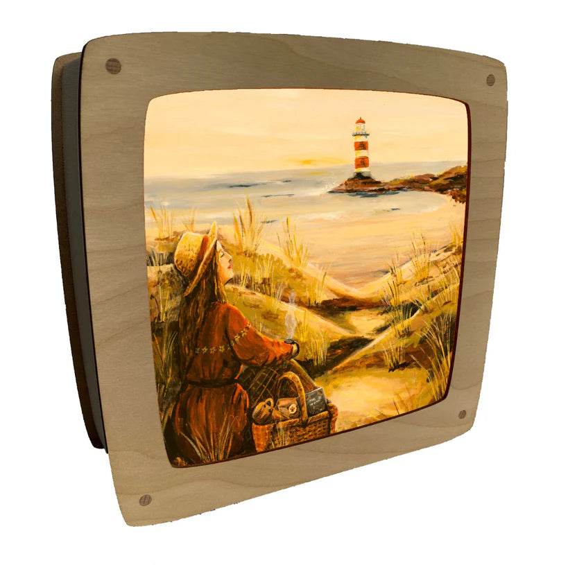 Wisselplaat aan de kust