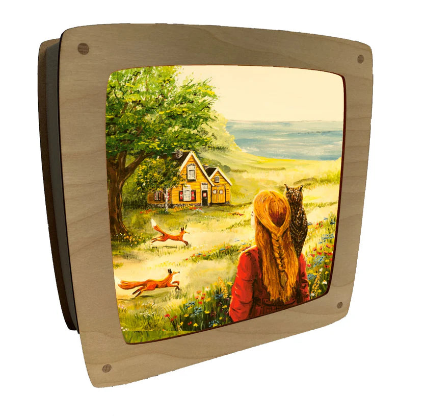 Wisselplaat Het Eiland