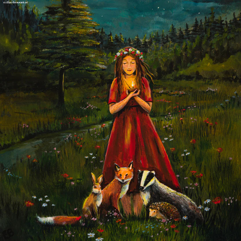 Wisselplaat Verbinding met de natuur