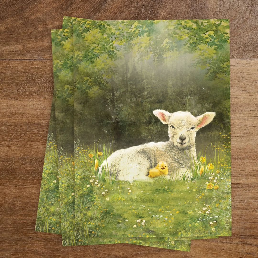 Kaart Spring Lamb