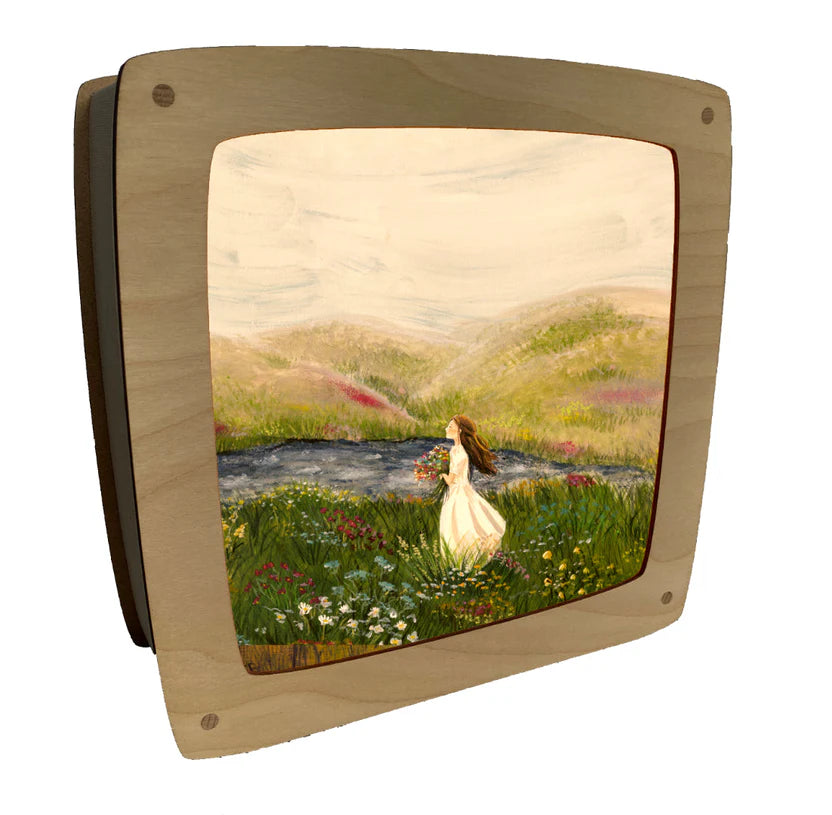 Wisselplaat Zeebries